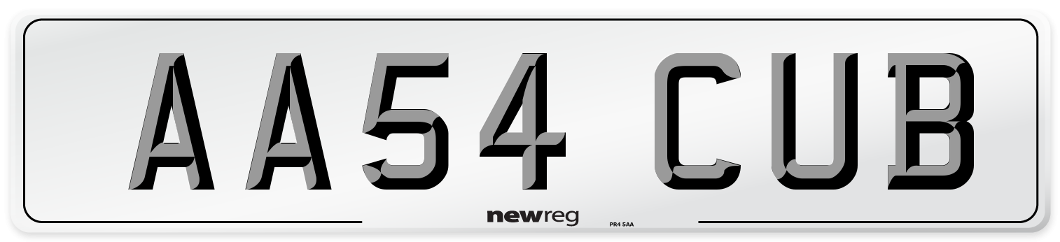 AA54 CUB Number Plate from New Reg